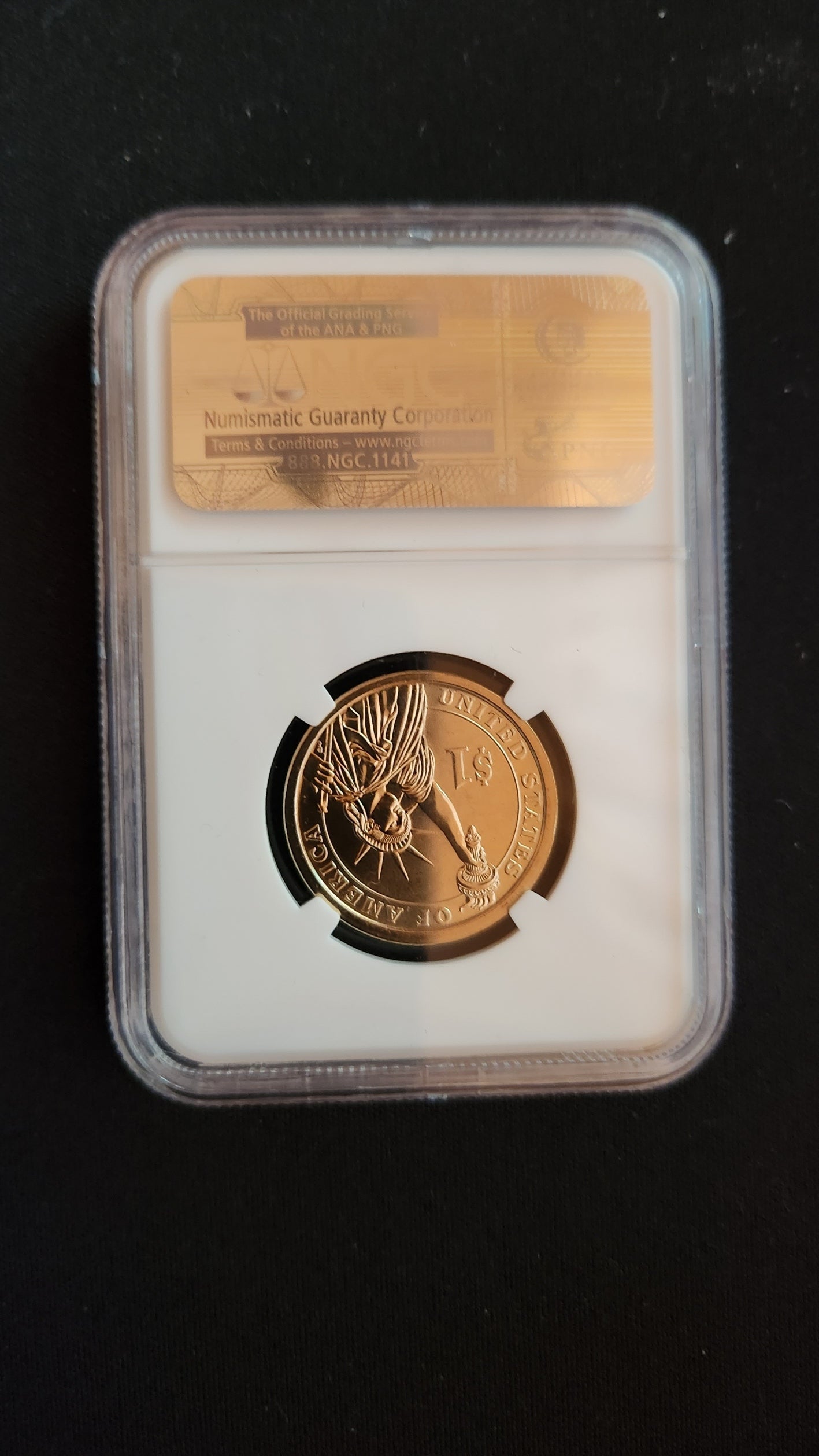 2013-P - Theodore Roosevelt One Dollar - NGC MS 67