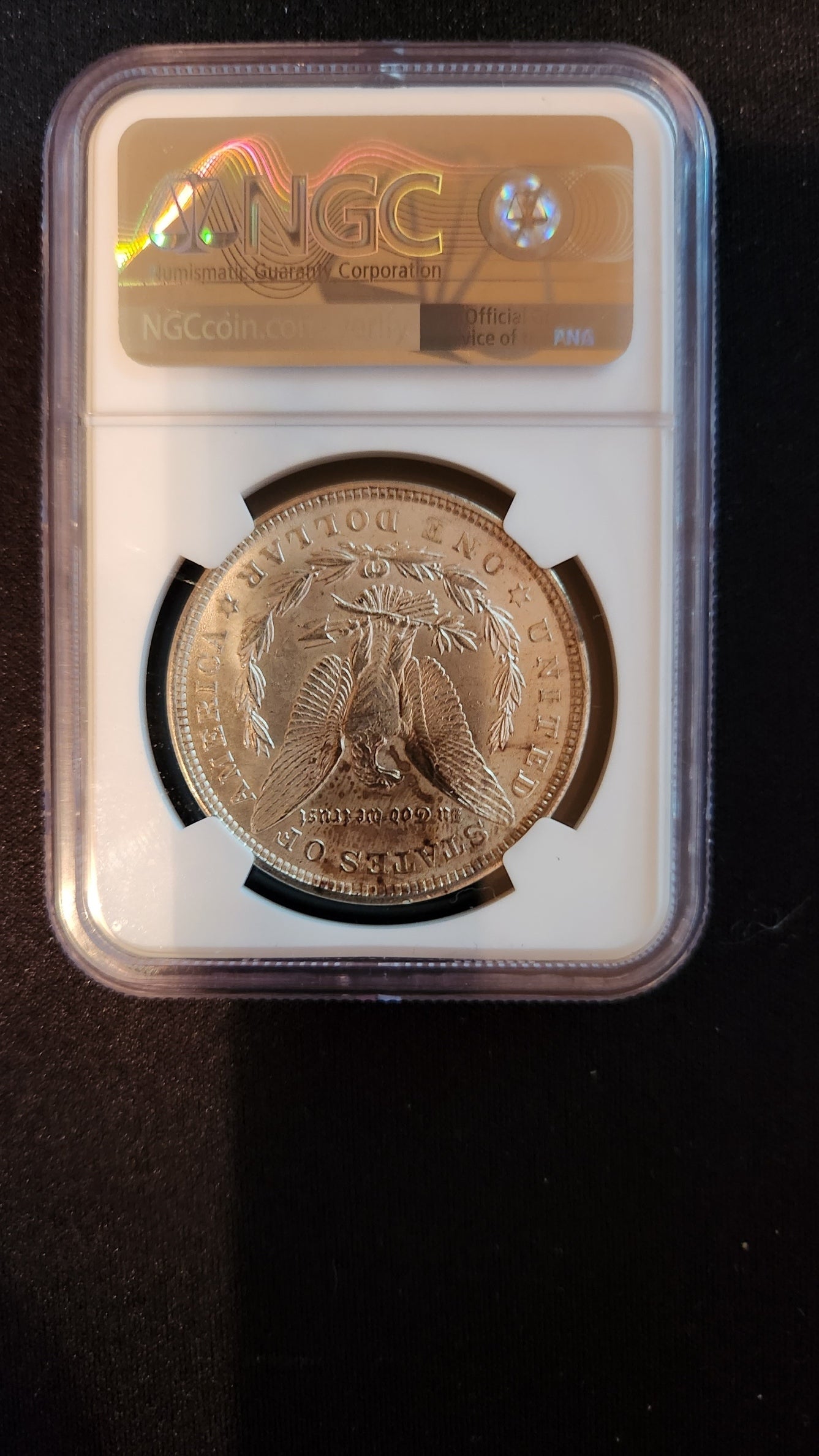 1921 - Morgan And Peace Dollar - NGC GEM BU