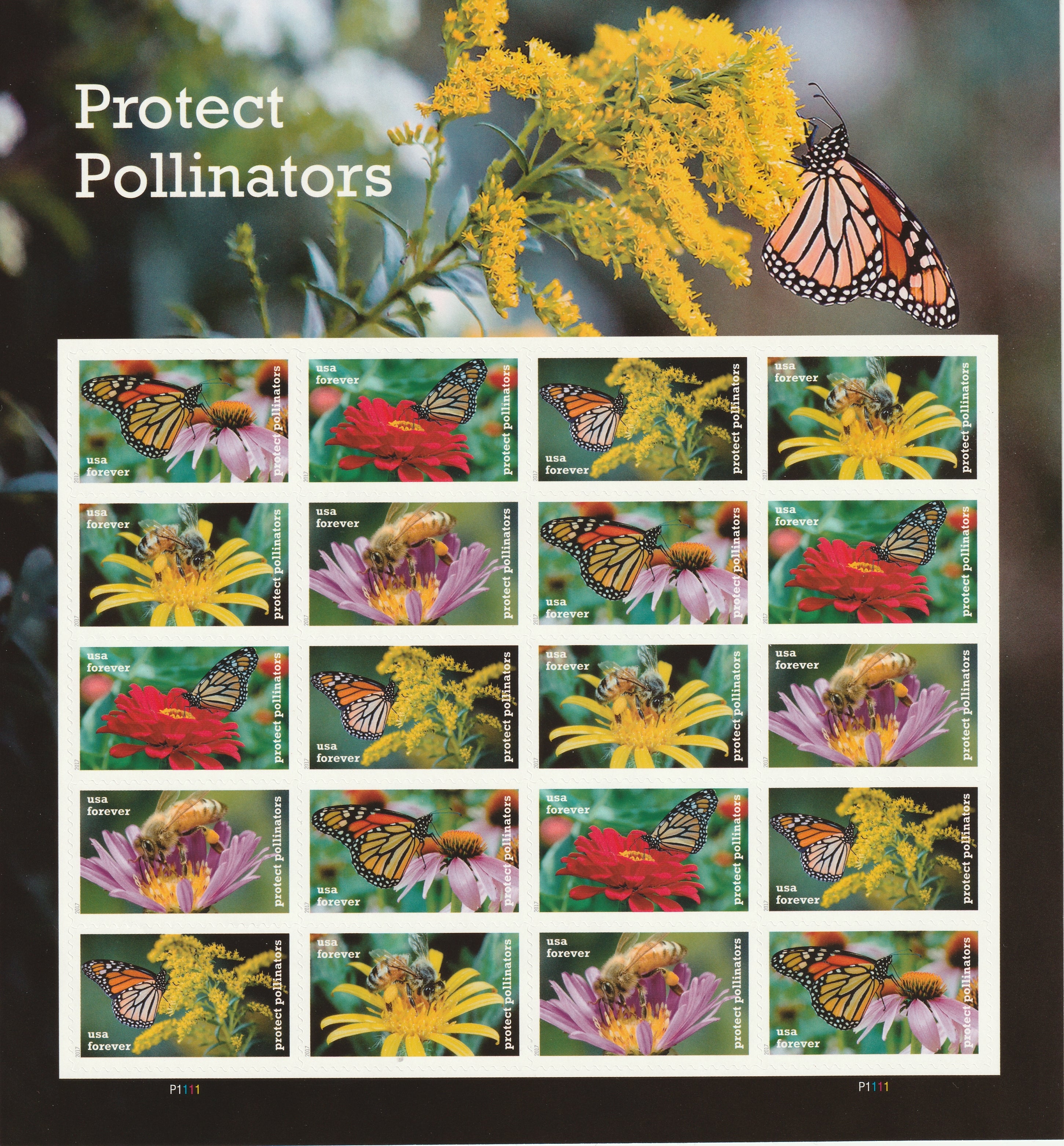 Protect Pollinators - Complete Collection – AJK Unique Emporium